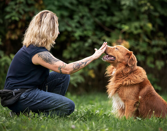 Szkolenia behawioralne psów Nature Dogs