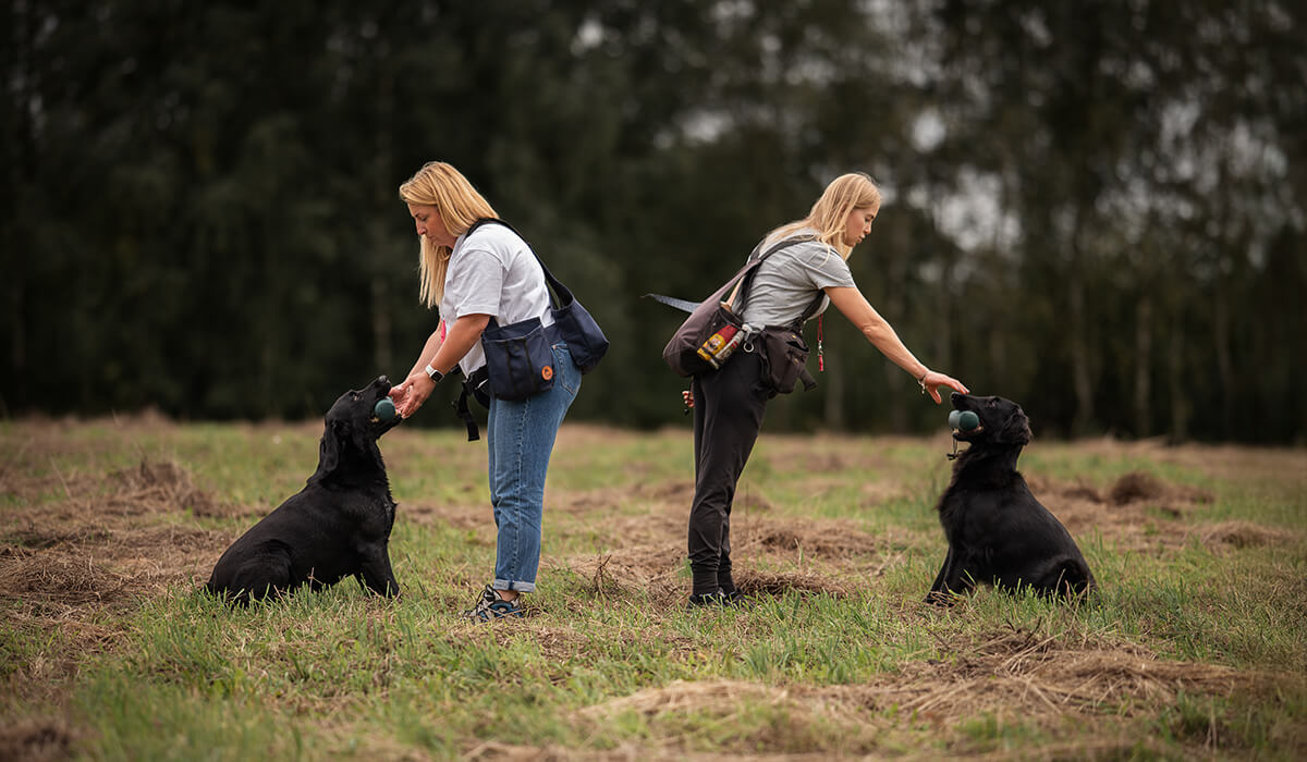 Trening szczeniaka Nature Dogs