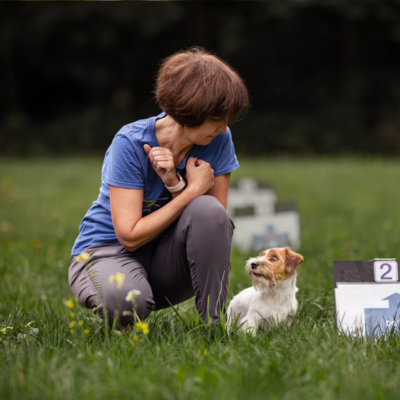 Yuliia Kharchenko Nature Dogs Yuliia Kharchenko Nature Dogs