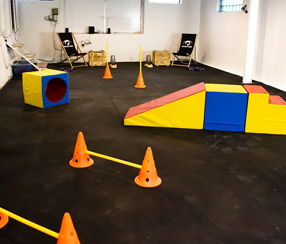 Wybieg dla psów Kraków