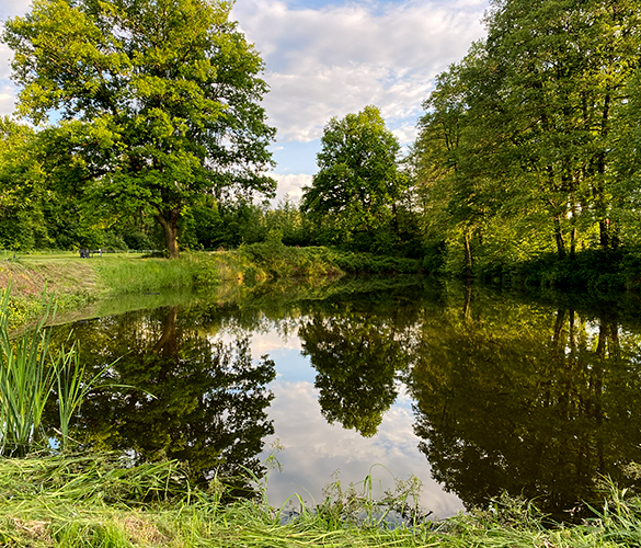 Wybieg dla psów Skawina